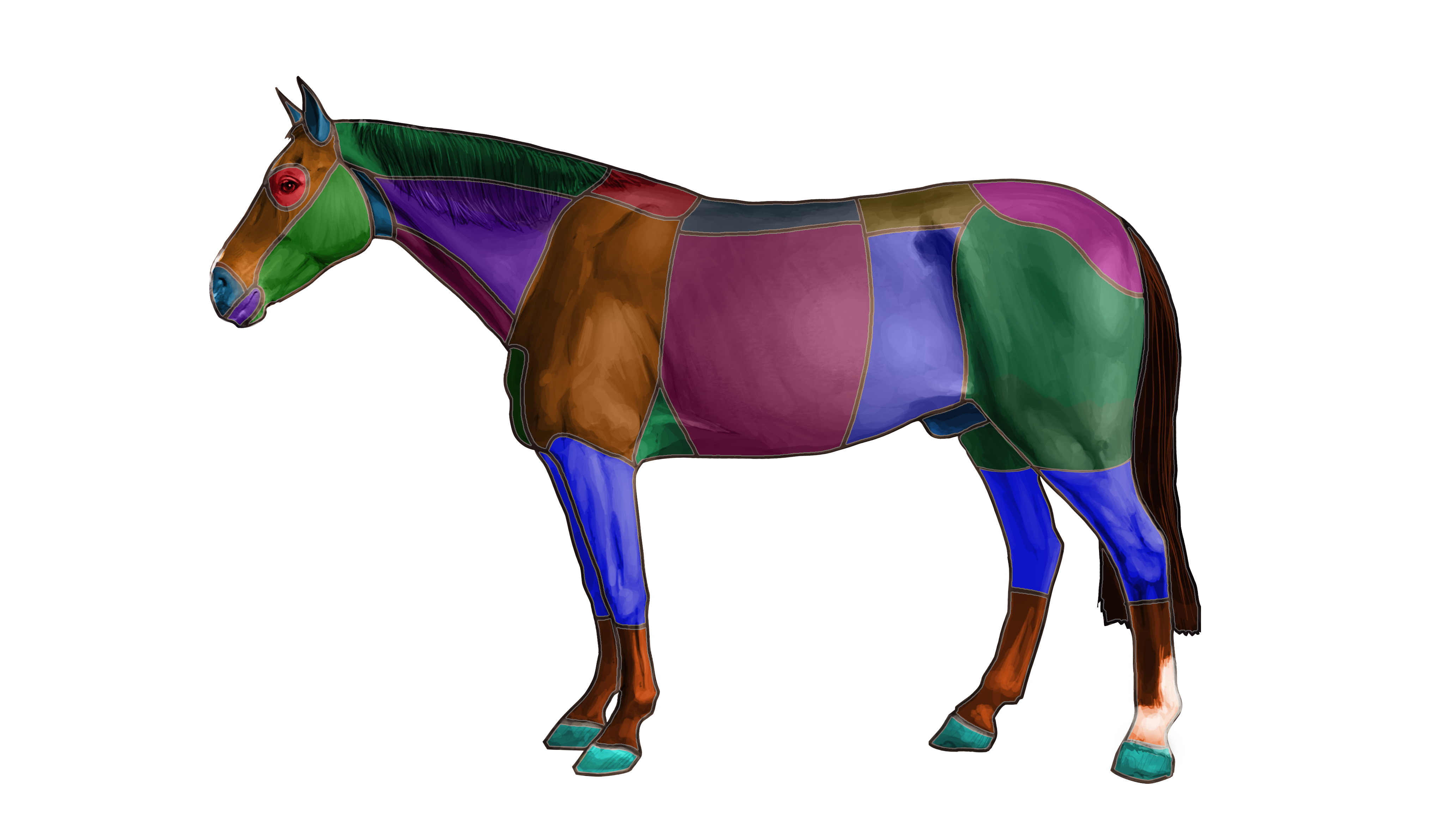 Horse Side Vet Guide Equine Health Resource