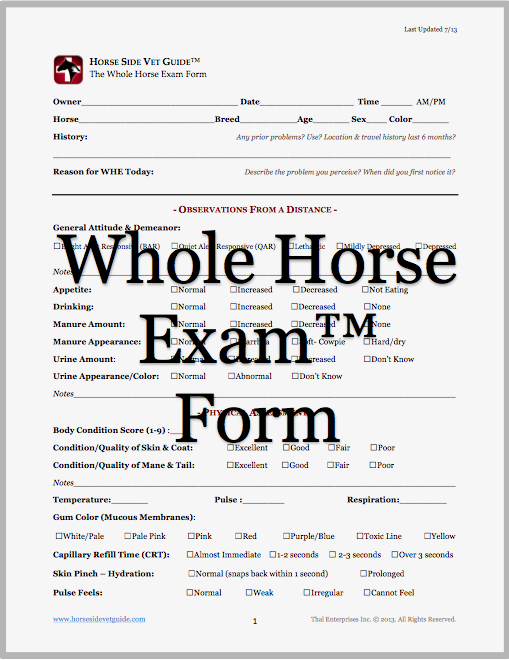 The Whole Horse Exam™ - Horse Side Vet Guide