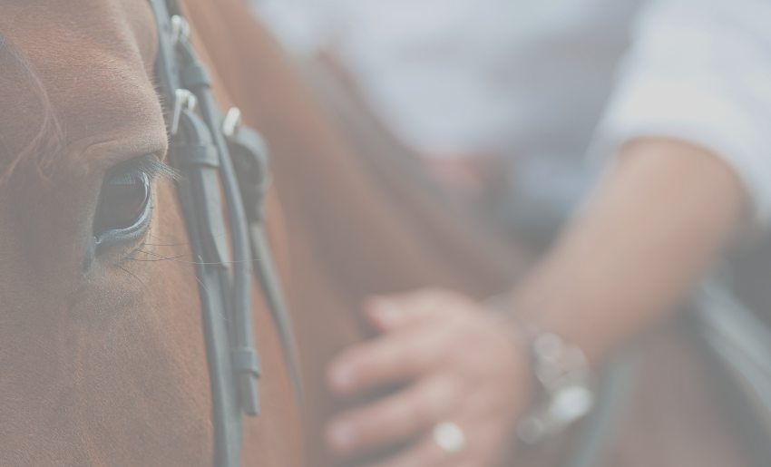 Horse & Hand Cropped & Washed Out 3