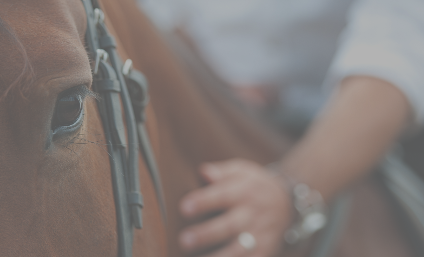 Horse & Hand Cropped & Washed out