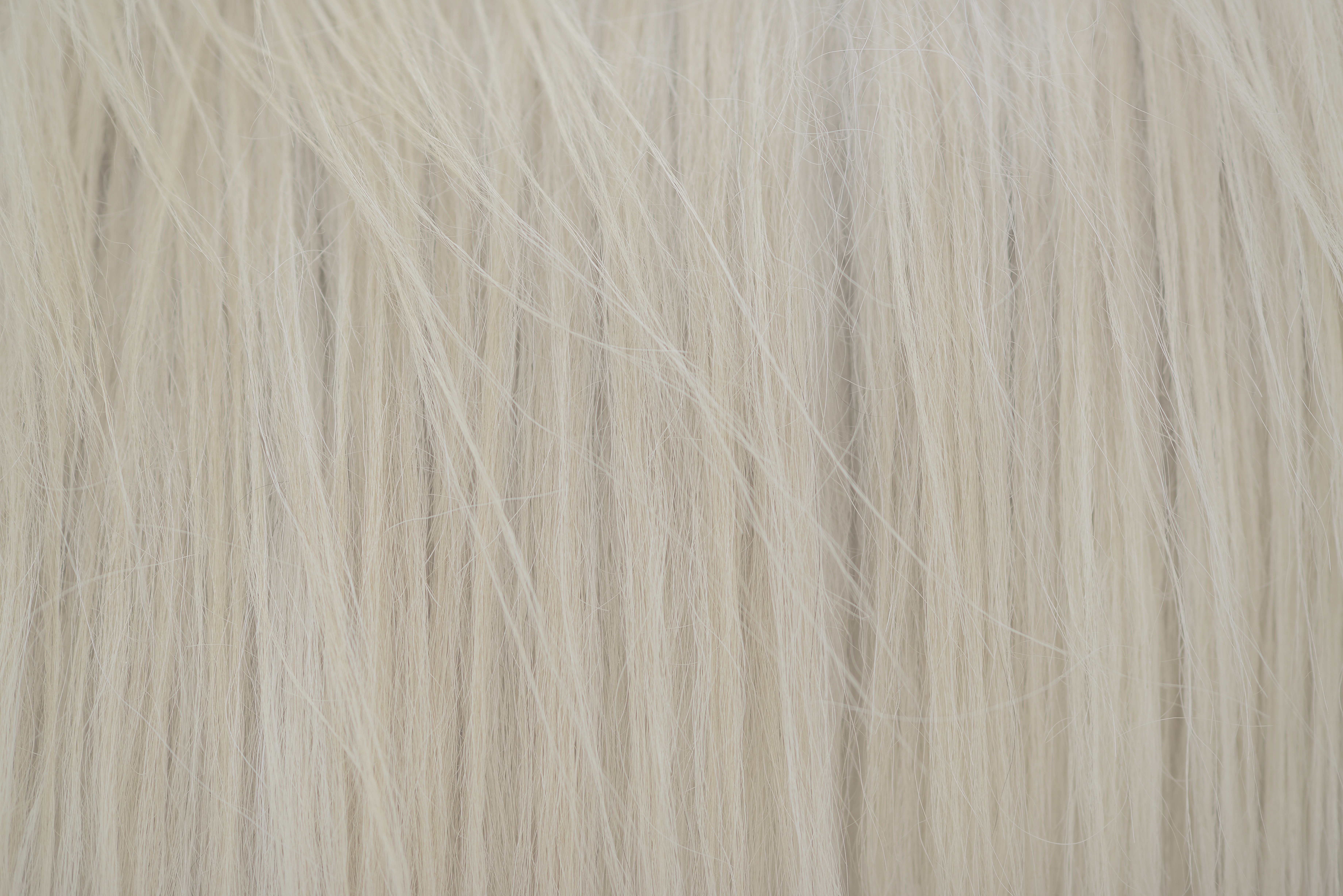 Shutterstock White Horse Hair Washed 1