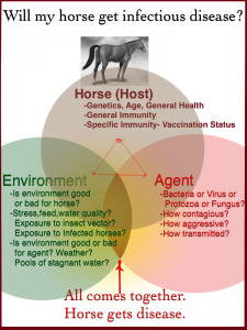 A useful way to think of infectious disease and whether a horse will become sick. 