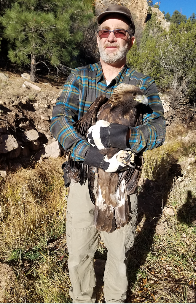 Dr. Doug Thal with lead-poisoned eagle, November 2017. The eagle died shortly after it was rescued. 