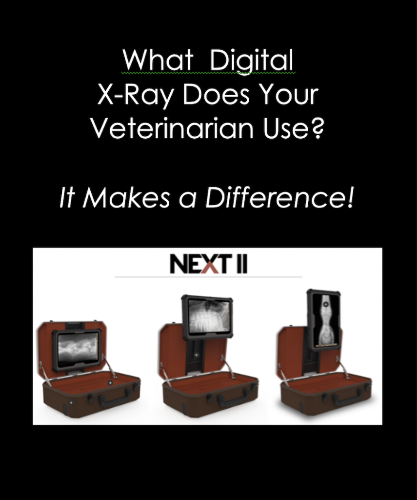 Sound Creative for Sidebar What XRay Does Your Vet Use