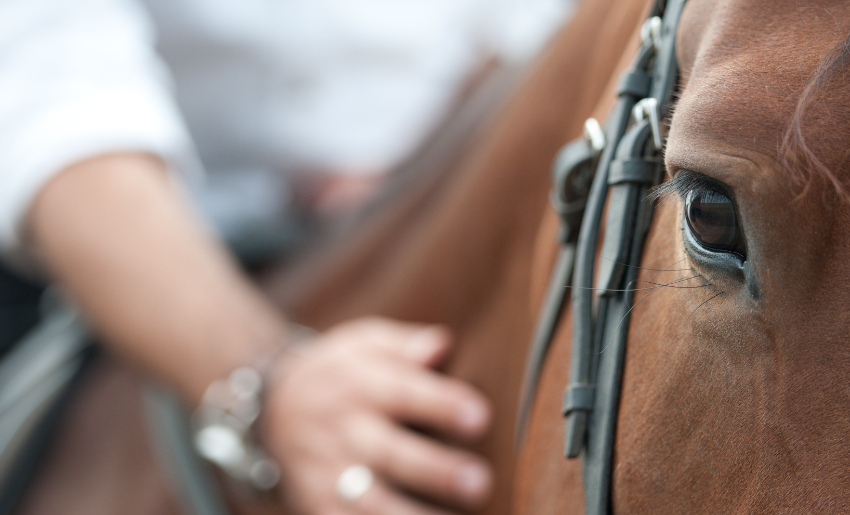 Horse & Hand Cropped 1 copy