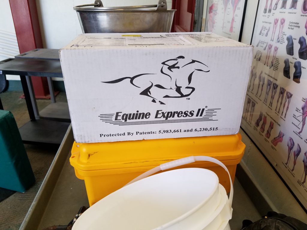 Breeding mares with artificial insemination (AI). What you need to know