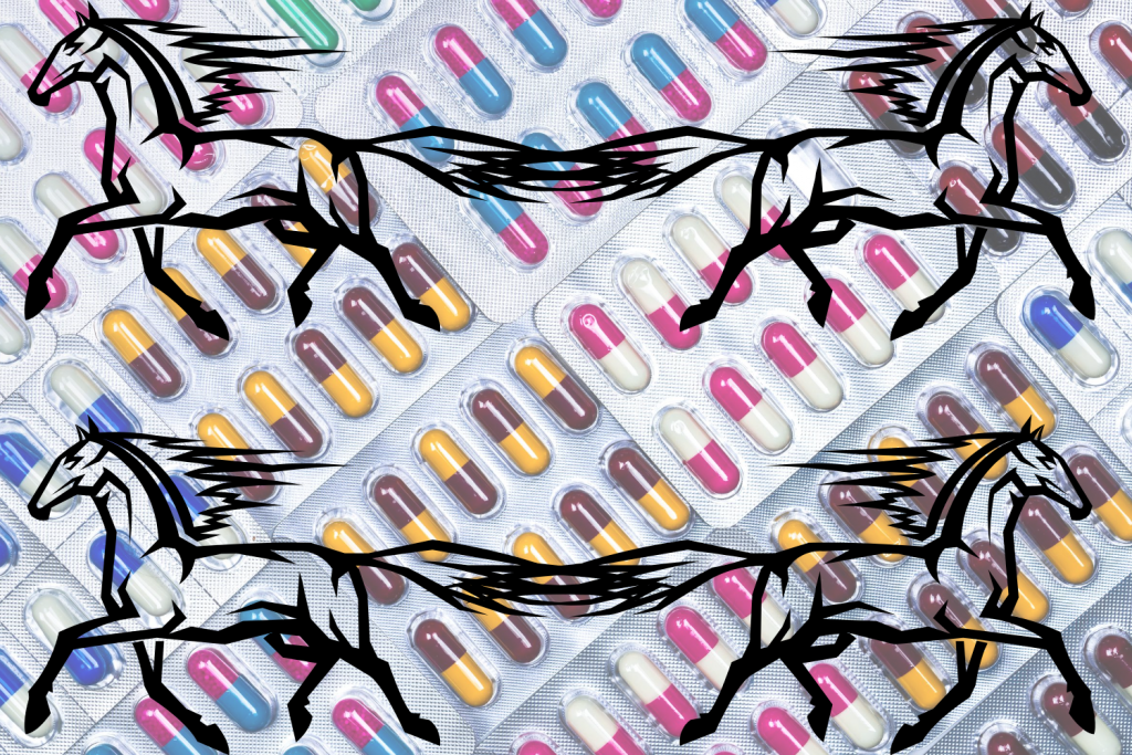 Systemic Antibiotics What Horse People Should Know Horse Side Vet Guide