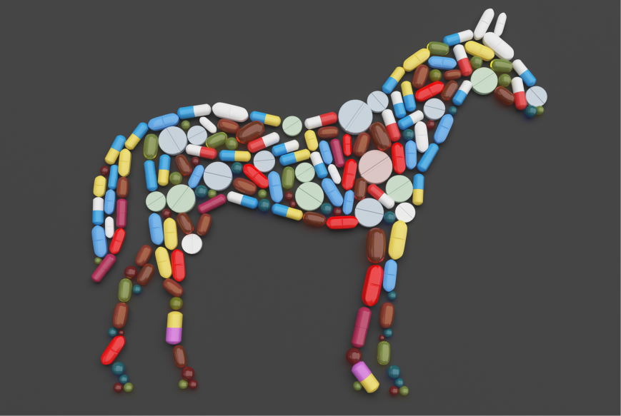 Systemic Antibiotics What Horse People Should Know Horse Side Vet Guide